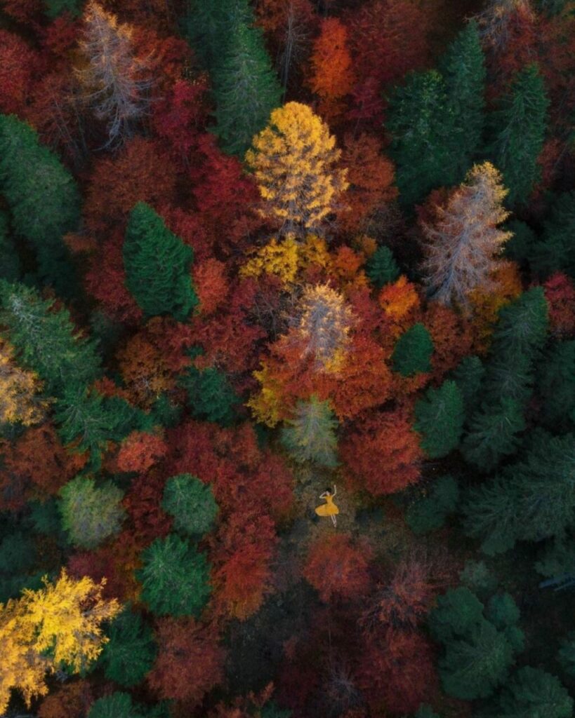 Foliage protagonista nello scatto di Simone Bramante