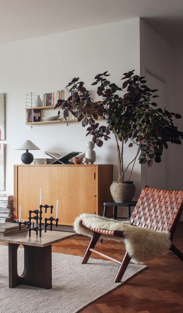Una pianta completa l'ambientazione in sala, accanto al mobile  in legno e alla poltroncina in cuoio intrecciato