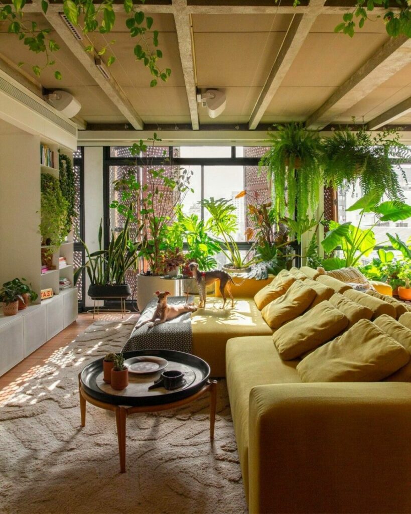 Giardini d’inverno: 5 proposte di design per portare la natura in casa