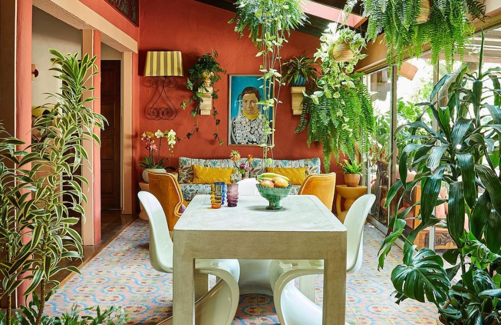Le pareti dipinte a colori vivaci possono rendere ancora più accoglienti i giardini d'inverno