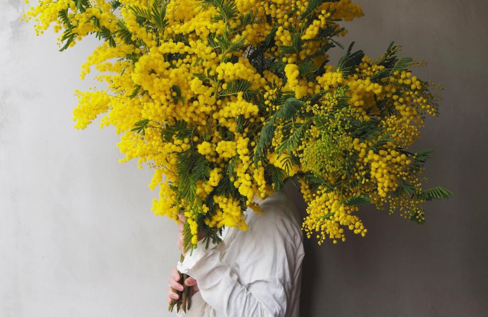 La mimosa è protagonista di un mega bouquet