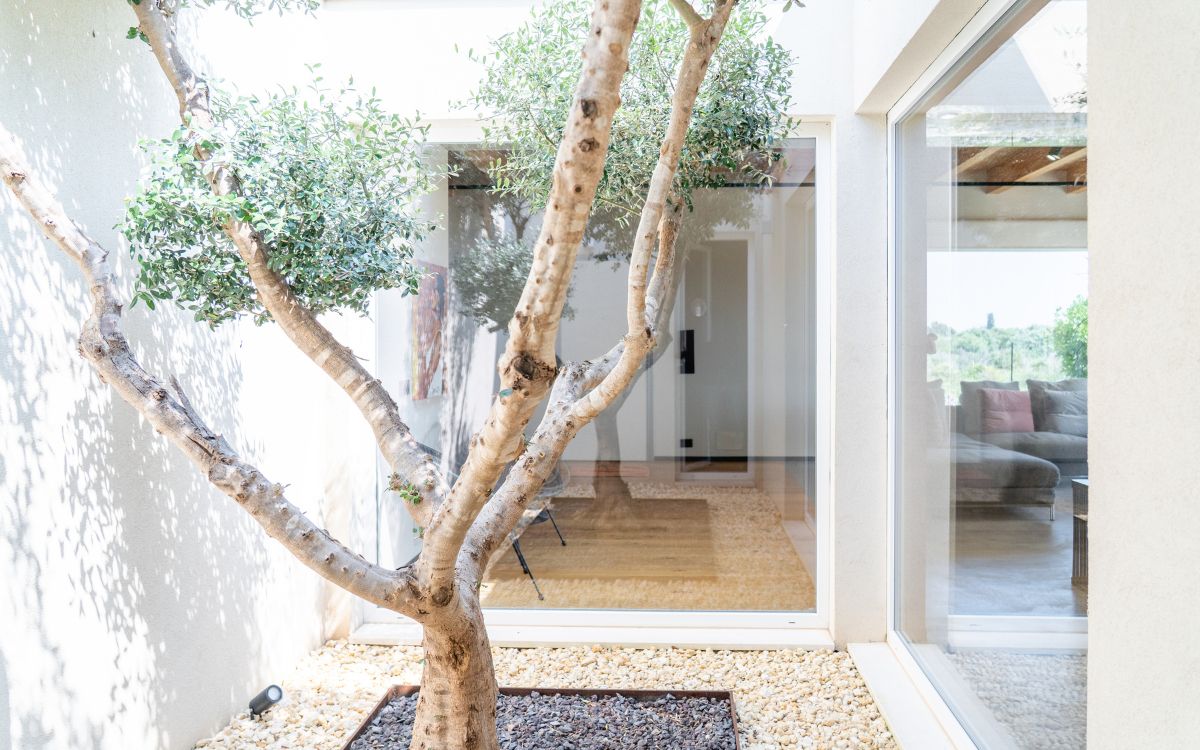 Una casa funzionale e luminosa dal meraviglioso cuore verde