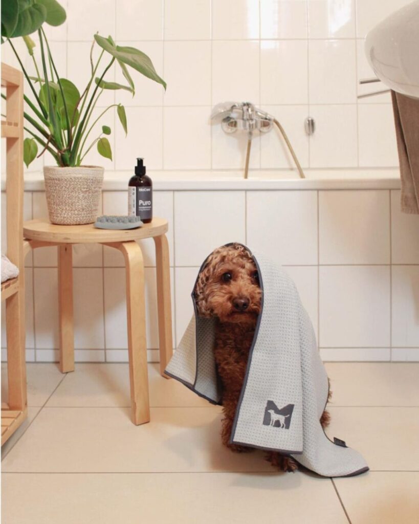 Una brillante lezione di stile: 5 lampade per 5 angoli perfetti