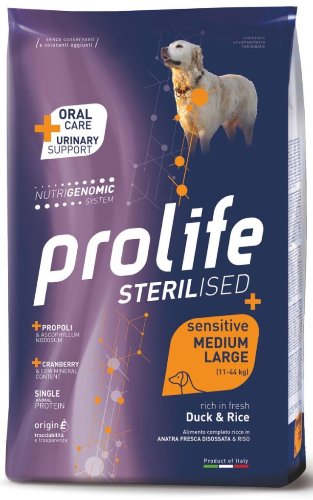 Benessere del cane sterilizzato: elemento indispensabile in un nuovo equilibrio dell'abitare