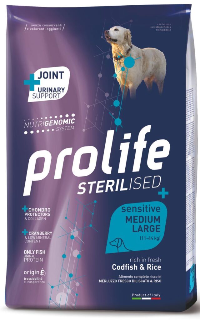 Benessere del cane sterilizzato: elemento indispensabile in un nuovo equilibrio dell'abitare