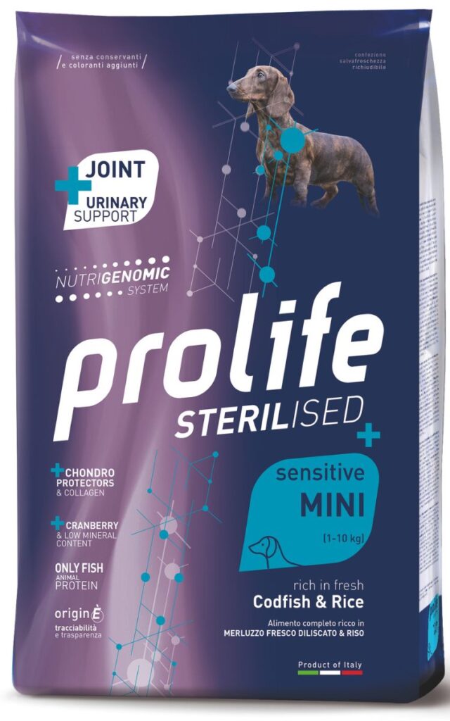 Benessere del cane sterilizzato: elemento indispensabile in un nuovo equilibrio dell'abitare